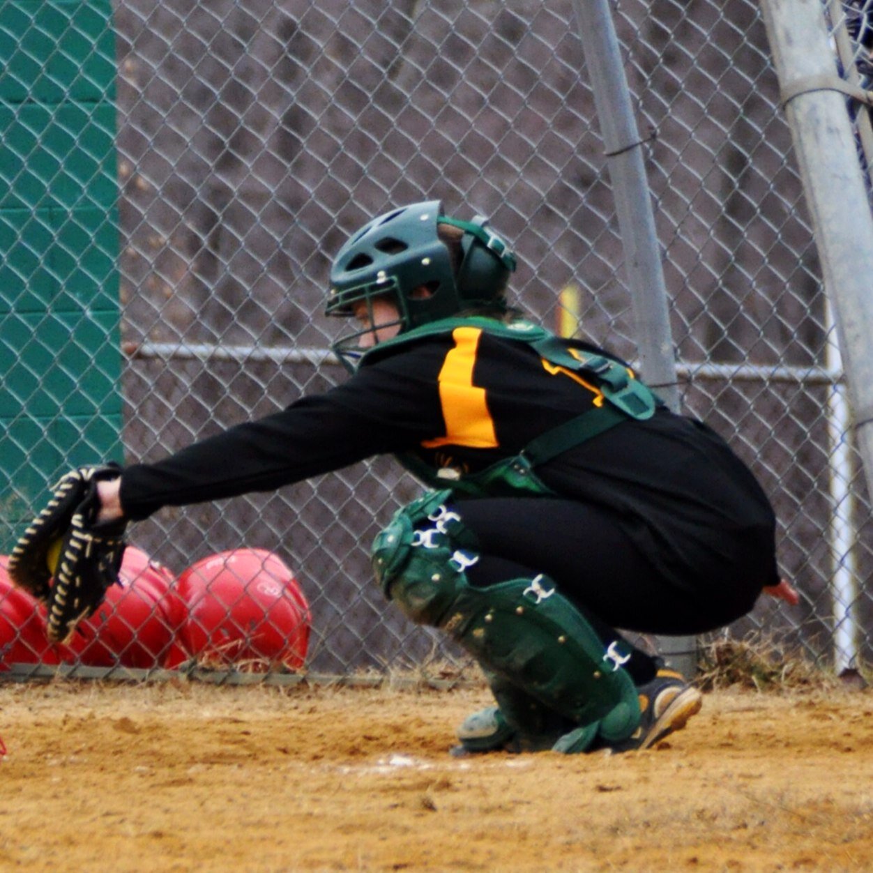 liveonthefield_'s profile picture. Softball.Volleyball.Basketball | #12 | Catcher | Avi is me