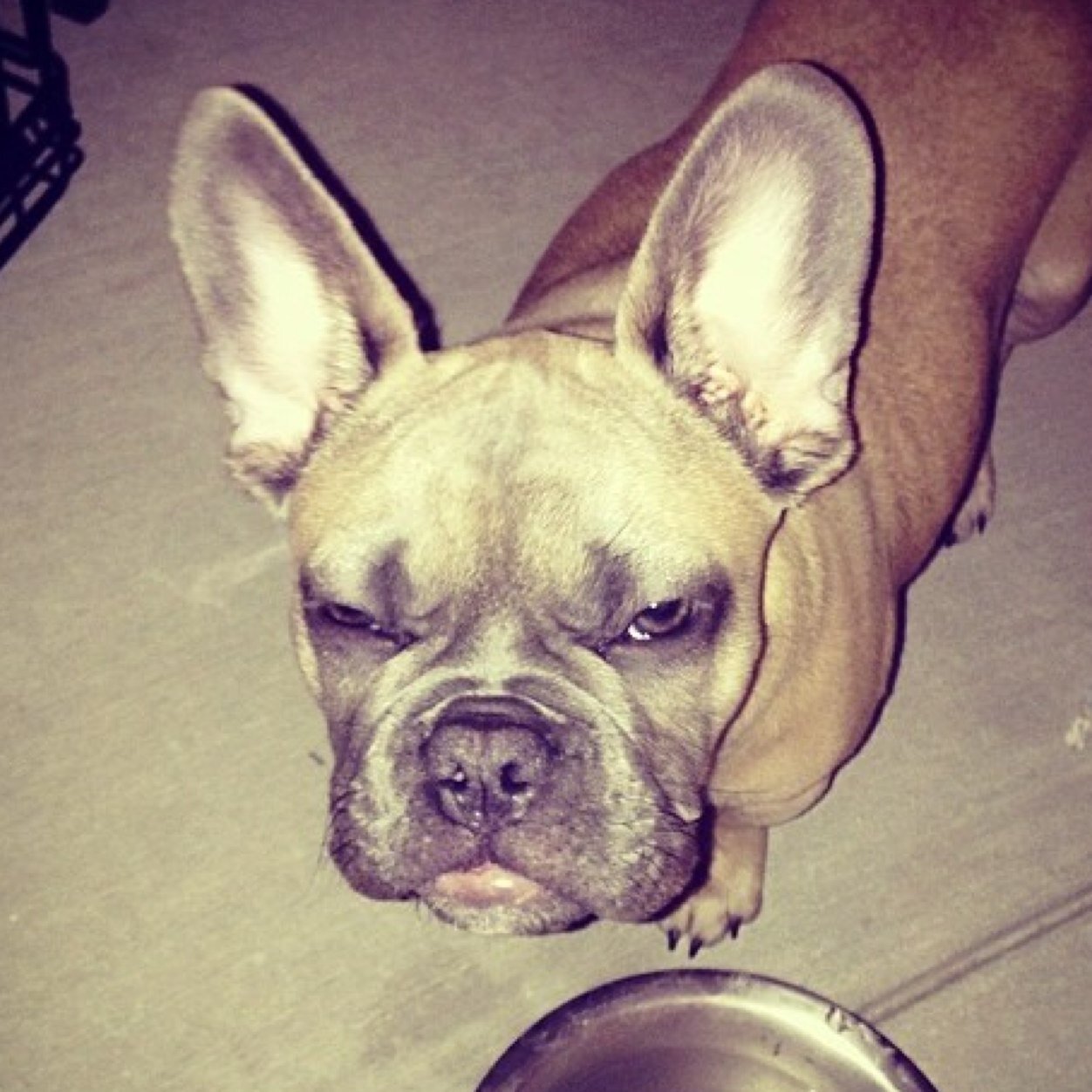 TeamR3kT's profile picture. http://t.co/XRWl5g7bOY