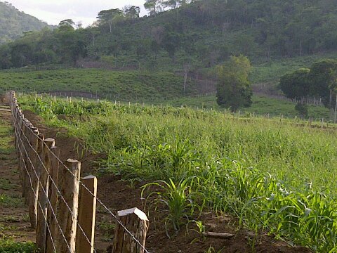 Ingeniero civil y Productor Agropecuario