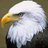 B12345Abo's profile image