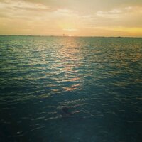 Reem (@reemtss) Twitter profile photo