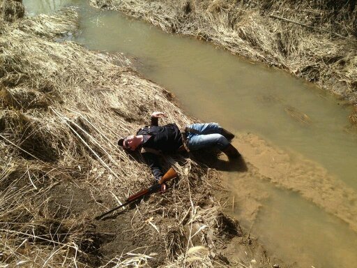 clamme_cullen's profile picture. 