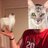 stylertyler1993's profile image