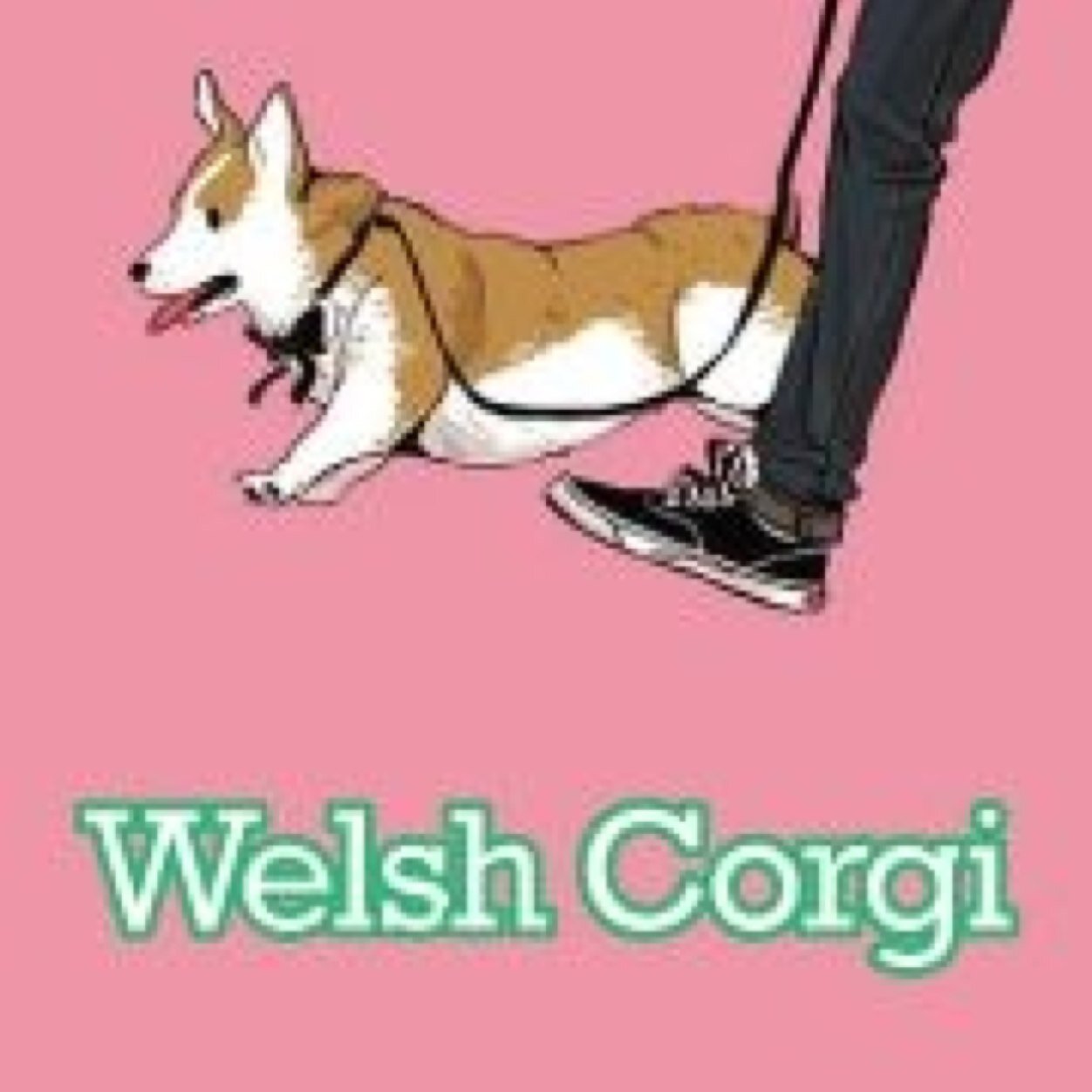 real_corgi's profile picture. 