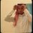 Yaser Kh ياسر الحربي