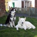 Tracy Patton - @tlpatton13 - Twitter