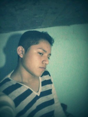 Yordy