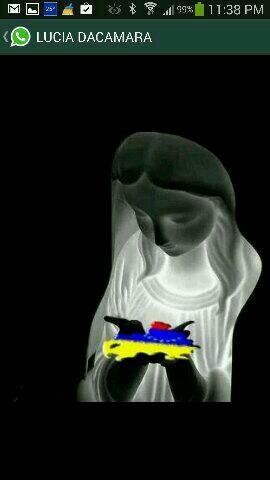 tetelepalacios's profile picture. 