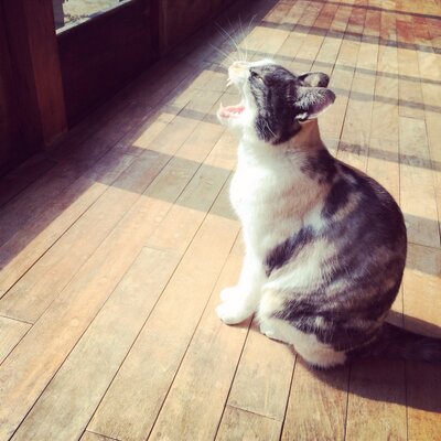 ゲストハウス路地と灯り En Twitter 遅れましたが 10月から約5ヶ月間ゲストハウス路地と灯り カフェサロン中奥のスタッフとして頑張ってくれたほりちゃんこと堀江ゆきちゃんが 2月28日をもちましてスタッフを卒業しました ほりちゃんありがとう お疲れ様 ゲストハウス路地と灯り En Twitter 遅れましたが 10月から約5ヶ月間ゲストハウス路地と灯り カフェサロン中奥のスタッフとして頑張ってくれたほりちゃんこと堀江ゆきちゃんが 2月28日をもちましてスタッフを卒業しました ほりちゃんありがとう お疲れ様