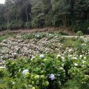 nelson wen - @wen_nelson - Twitter