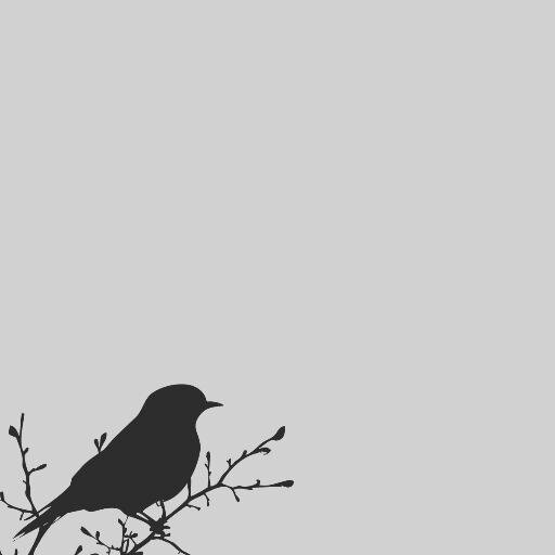 noppiti's profile picture. 