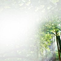Dini (@diinii_new) 's Twitter Profile