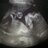anaelena_24's profile image