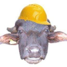 DaniRSafii Profile Picture