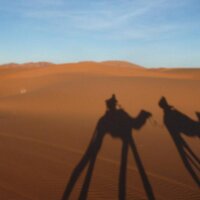 Kieran O'Mahony (@totheeast) 's Twitter Profile