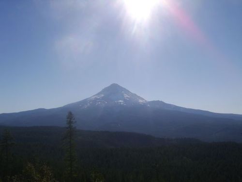 loungelemon's profile picture. 