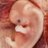 Ovulation_Cycle's profile image