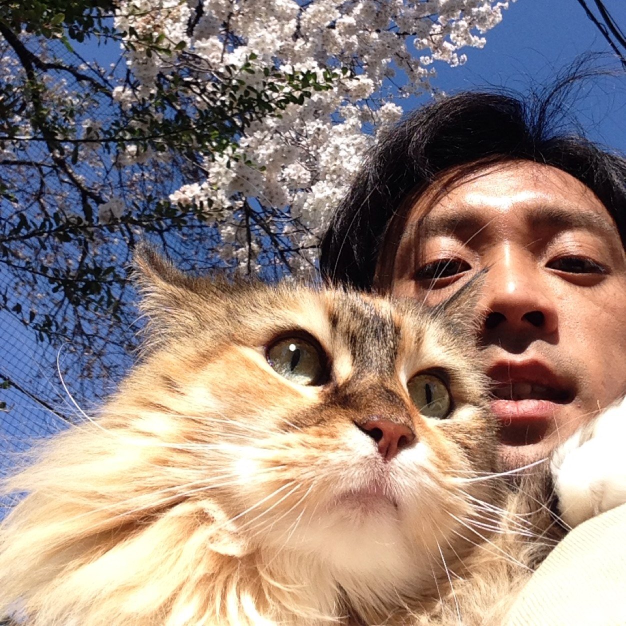 ToruMatsura's profile picture. @SNAILRAMP1995、BADDHIST、TH1R5Tのギターとmillnutsのベース。週末は山にいます。百名山 100 百高山 65 二百名山 42 三百名山 22。登山、ランニングはリンクから。某社と某社の代表取締役。犬猫好きが高じて仕事になりました→https://t.co/bh4RfTTk0C