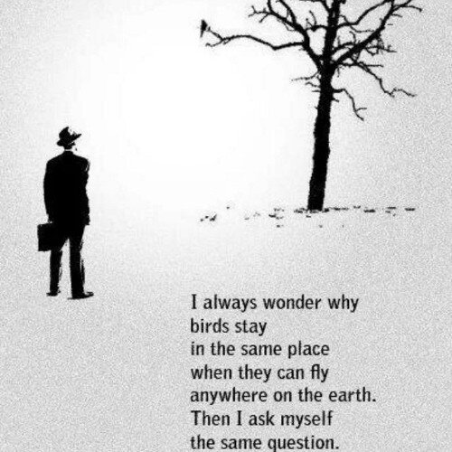 daskuwanr's profile picture. Founder, marketatdoor.in ; Alumnus , Indian Institute of Management, Ahmedabad