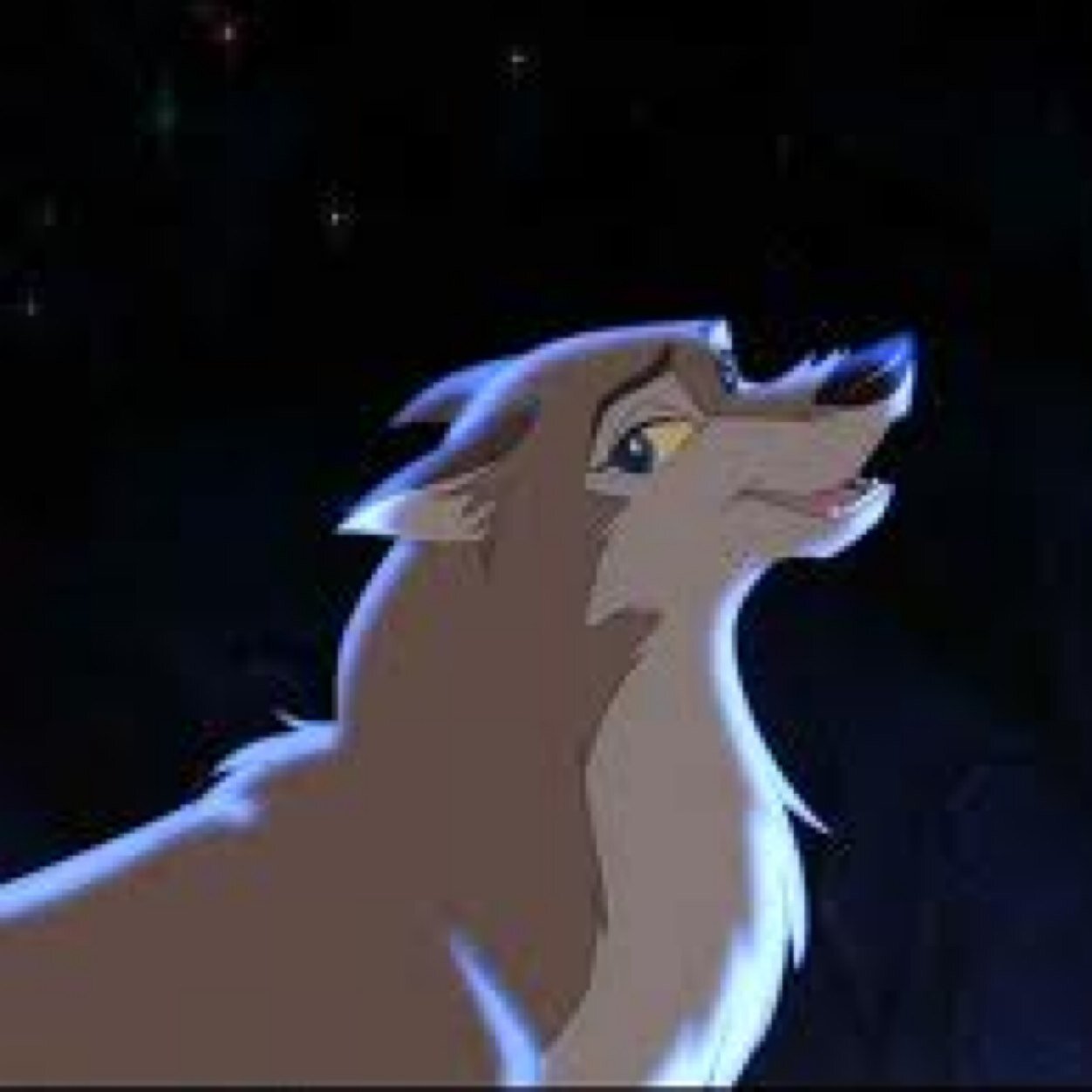 Im Aleu who now I found out that I was part wolf and im even more wolf then my father @BaltoTheWolfdog #single #wolfdog #my pack