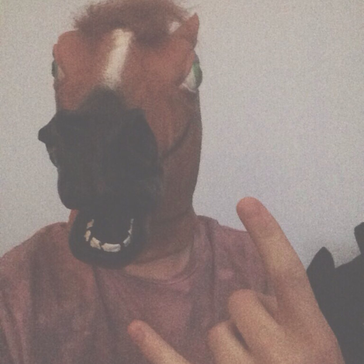 i'm Niall but i have a horses face. 
i am beautiful, in every single way