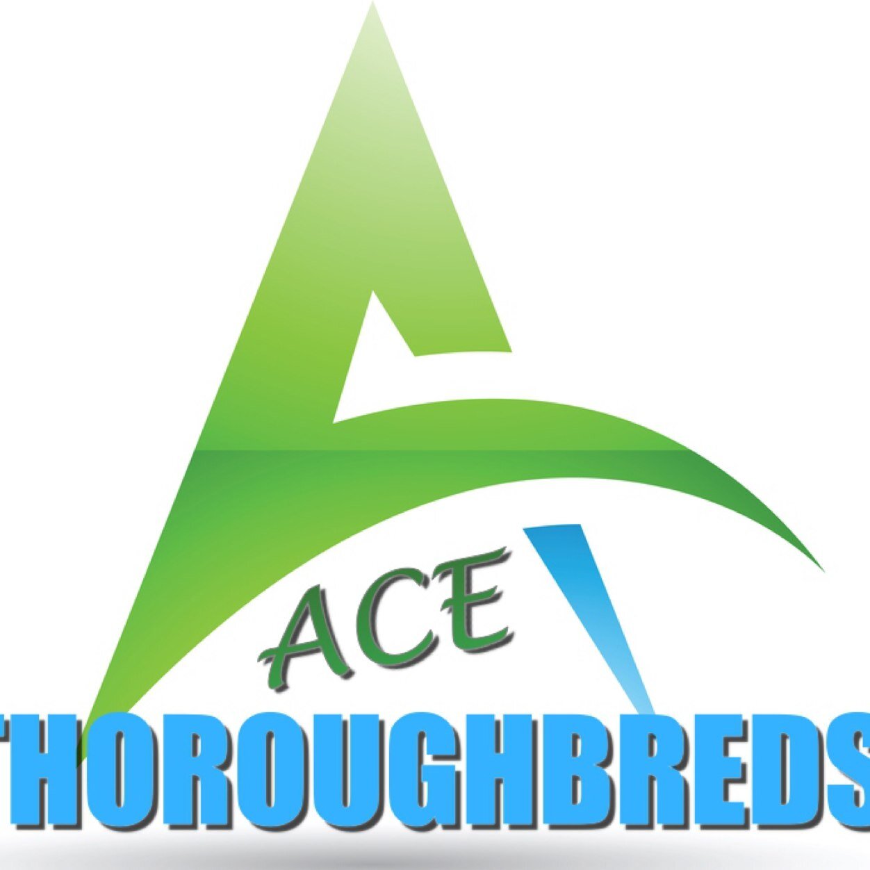 Acethoroughbre1's profile picture. 