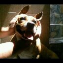 Victor Hayden - @HaydenVictor - Twitter