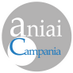 Aniai Campania (@aniaicampania) Twitter profile photo Aniai Campania (@aniaicampania) Twitter profile photo