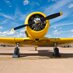 covermyplane (@covermyplane) Twitter profile photo covermyplane (@covermyplane) Twitter profile photo