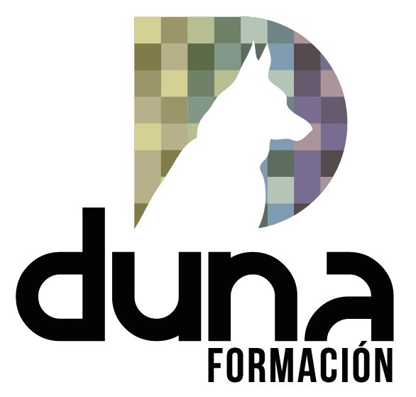 Somos un centro de formación profesional, enfocado a ofrecer un futuro laboral con garantías a nuestros alumnos.