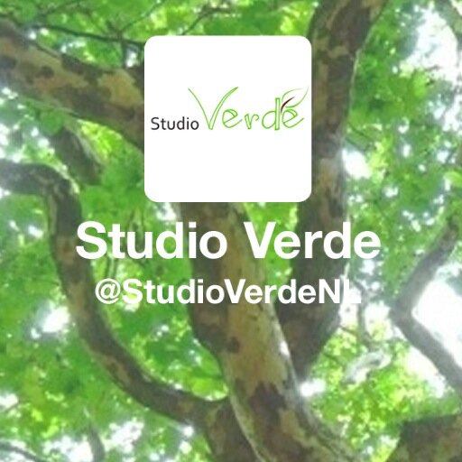 StudioVerdeNL's profile picture. Studio Verde is een creatief bureau voor groene ontwerpen. Groene speelplekken, openbare ruimtes, schoolpleinen en multifunctioneel groen in de (ouderen)zorg.