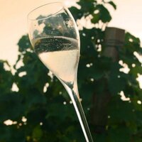 Cheerstheblog (@cheerstheblog) 's Twitter Profile