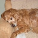 Deb Marshall - @cahomop - Twitter