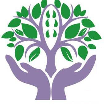 CREA. Centro de Recuperación Emocional y Alimentaria. Tratamiento de Trastornos Alimentarios y de sus familiares. Citas 📲965648588/ info@creacentro.com