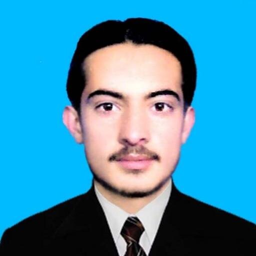 Worked as Provincial Monitor with (CPAU).
Worked as Database Clerk with (IWA),
Social Activist, 
Volunteer with LLC.