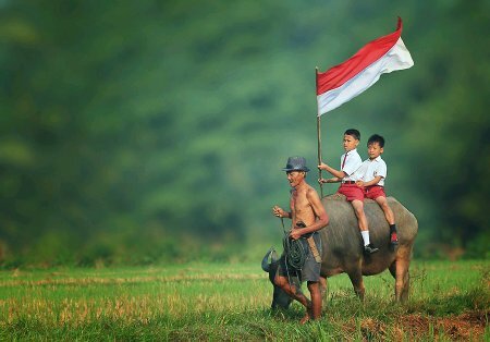 indonesiaakoe Profile Picture