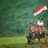 indonesiaakoe's profile image