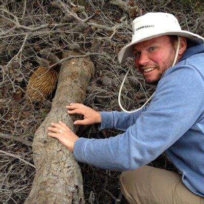 robjolliffe's profile image