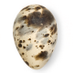 NHM Oology (@nhm_oology) Twitter profile photo