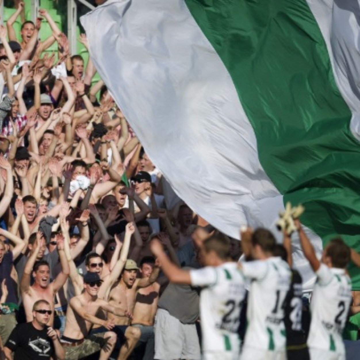 Alles over FC Groningen!