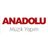 AnadoluMuzikk's profile image