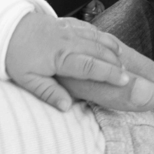 Papá de Julieta y Felipe - Esposo de Lucia - Operador y Productor de https://t.co/RKhcyKZzQt