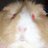 viborillaur's profile image