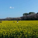 小澤一暢 (@01270128Ozawa) Twitter