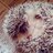 eri_Wave's profile image