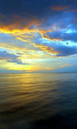 TyT311226's profile picture. 노오오오올자~~