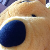 ごりらっぱ (@account_027) 's Twitter Profile