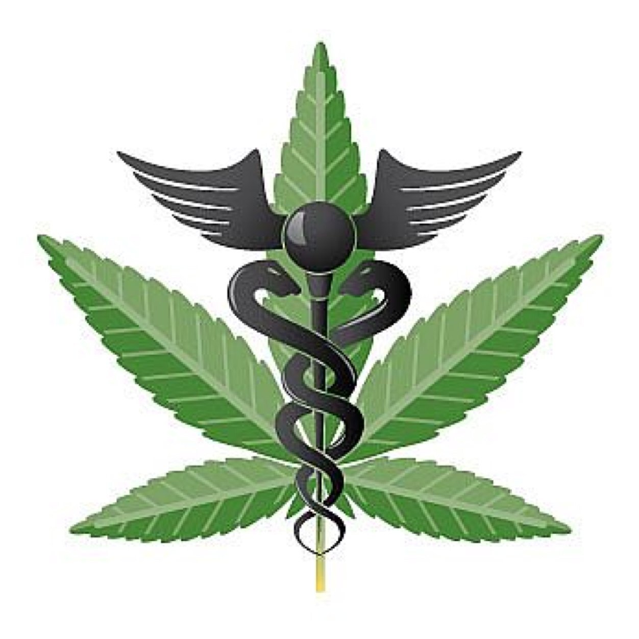sudonymph3's profile picture. Cannabis cures cancer.