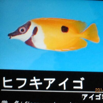 エイトビート
